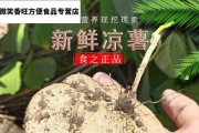 沙土菜园营养丰盛（适合种植什么蔬菜？）