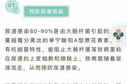 探秘蔓越莓生长环境与特点（从光照到土壤，这些条件对蔓越莓生长至关重要）